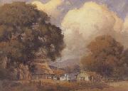 unknow artist Sunlit Farm china oil painting reproduction